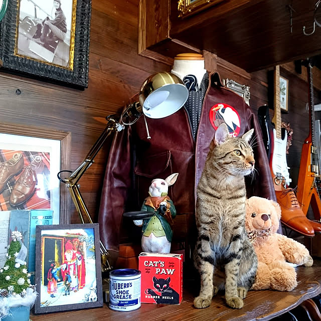 ken.kawakamiさんの実例写真
