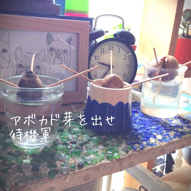 38coreさんの実例写真