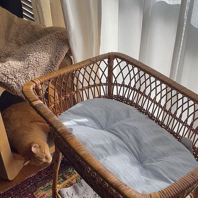 rijuさんの実例写真