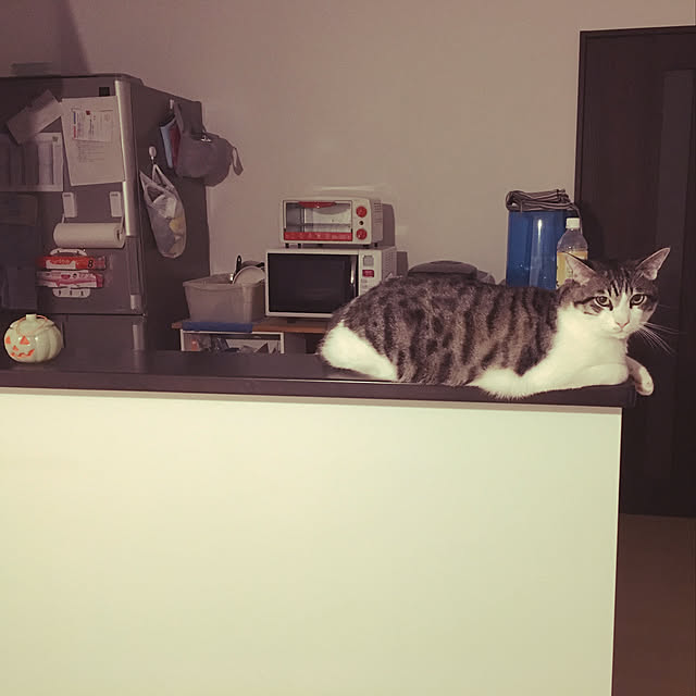 nomu2さんの実例写真