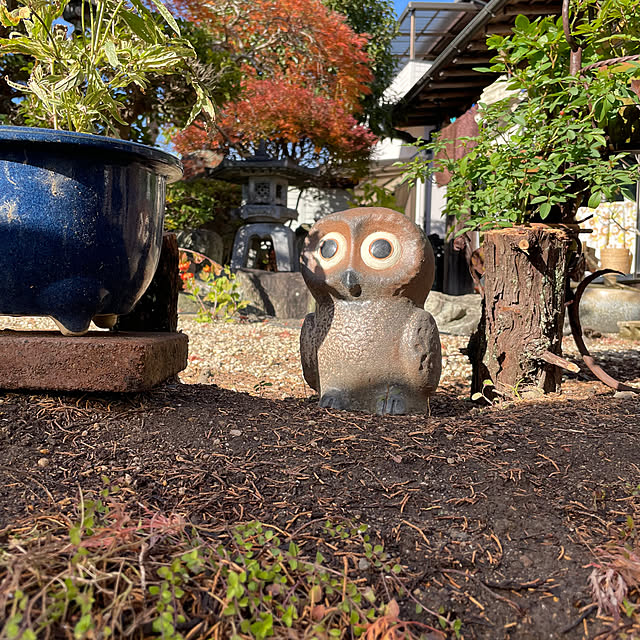 shin0719さんの部屋