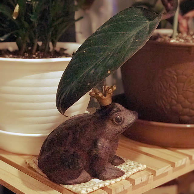 rasさんの実例写真