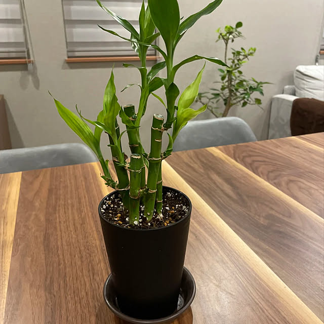 ikuzakさんの部屋