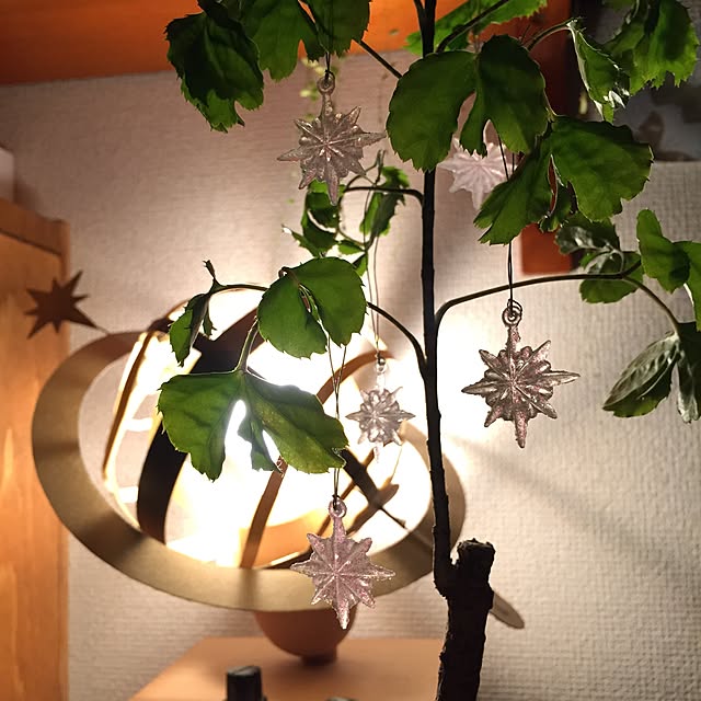 Ronyさんの実例写真