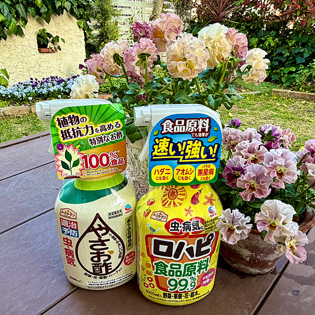 meruさんの実例写真