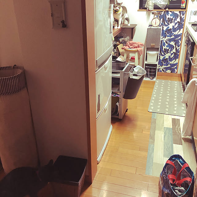 jijiさんの実例写真