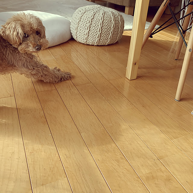 madeleineさんの実例写真
