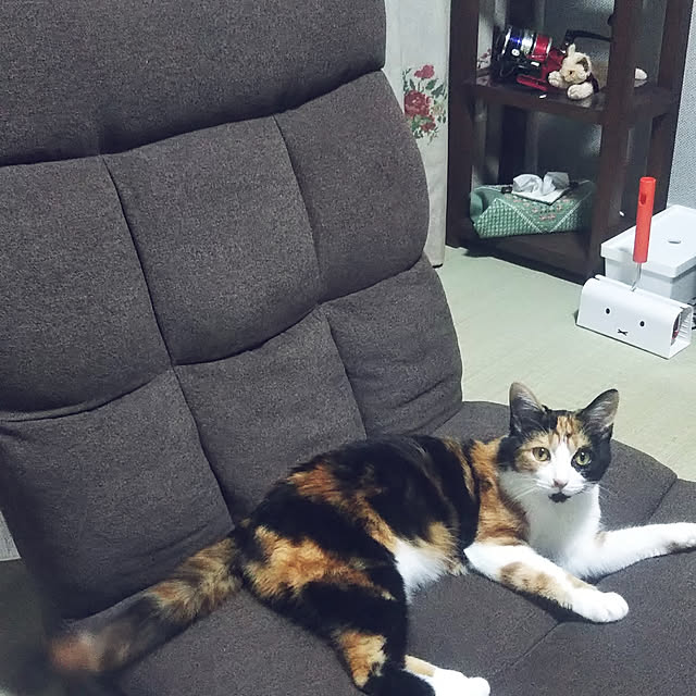 oyoneさんの実例写真