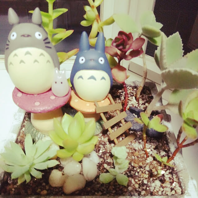 na-naさんの実例写真