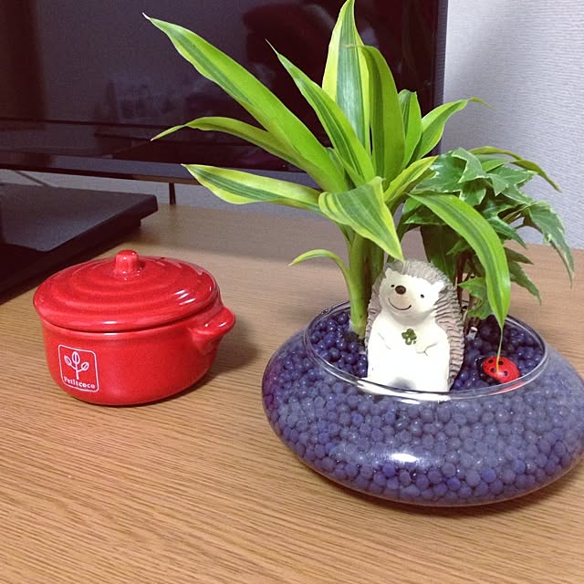 sakaewachikoさんの実例写真