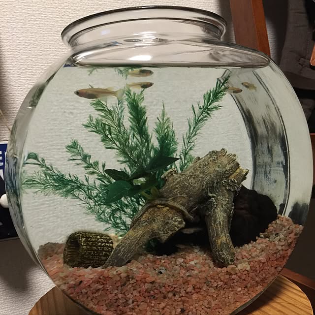 実例写真