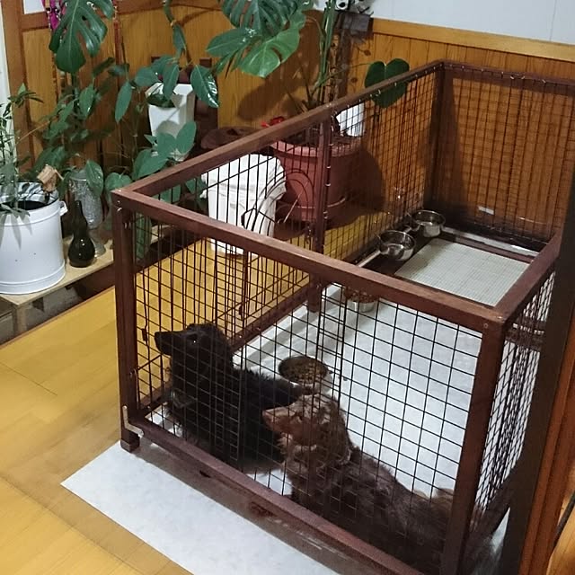 tikuwaさんの実例写真
