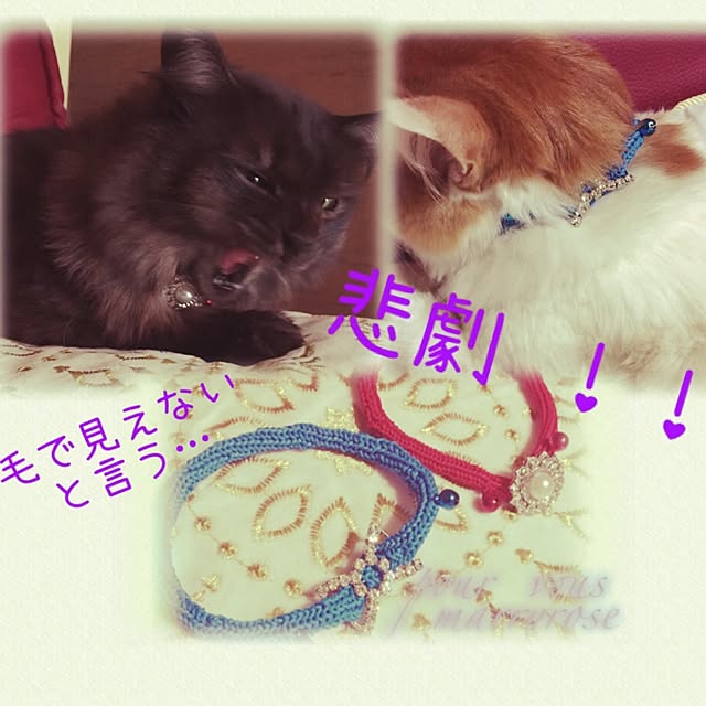 maria.rさんの実例写真