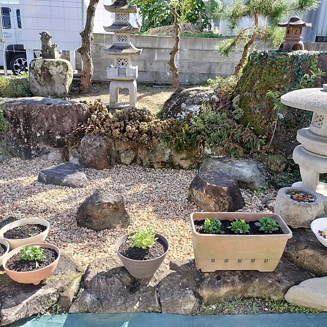 sumimarumiさんの部屋