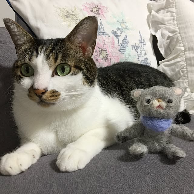 yuchiさんの実例写真