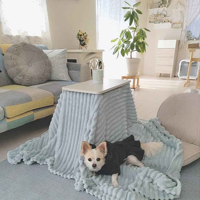 PAOさんの実例写真