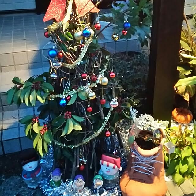 kyokoさんの実例写真