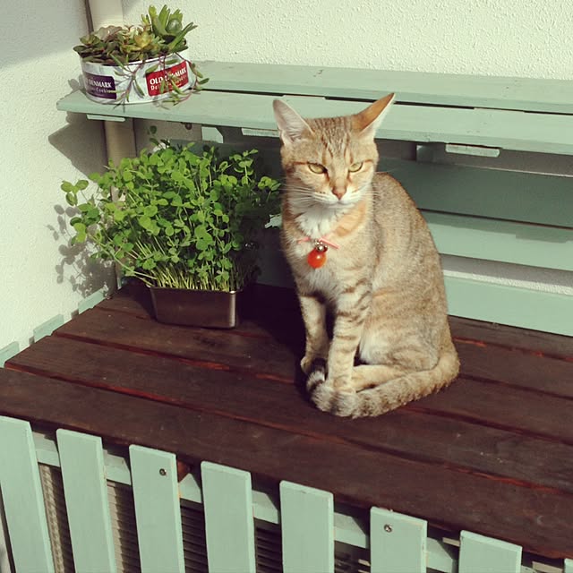 1633さんの実例写真