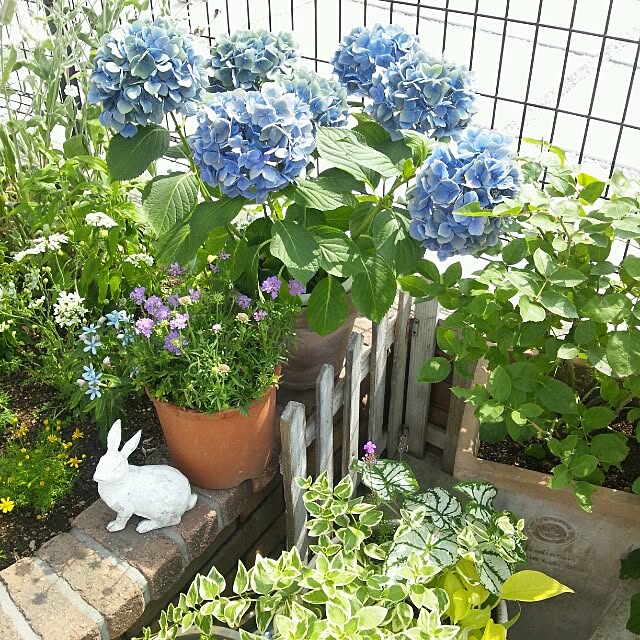 nonchanさんの実例写真