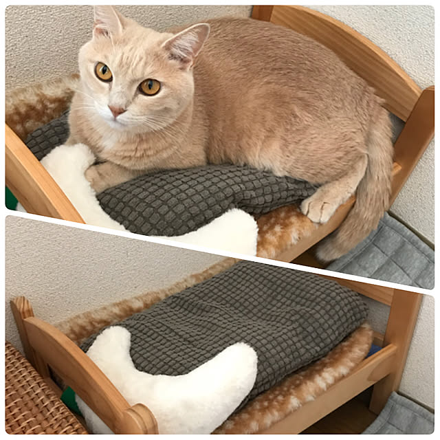 nicoさんの実例写真