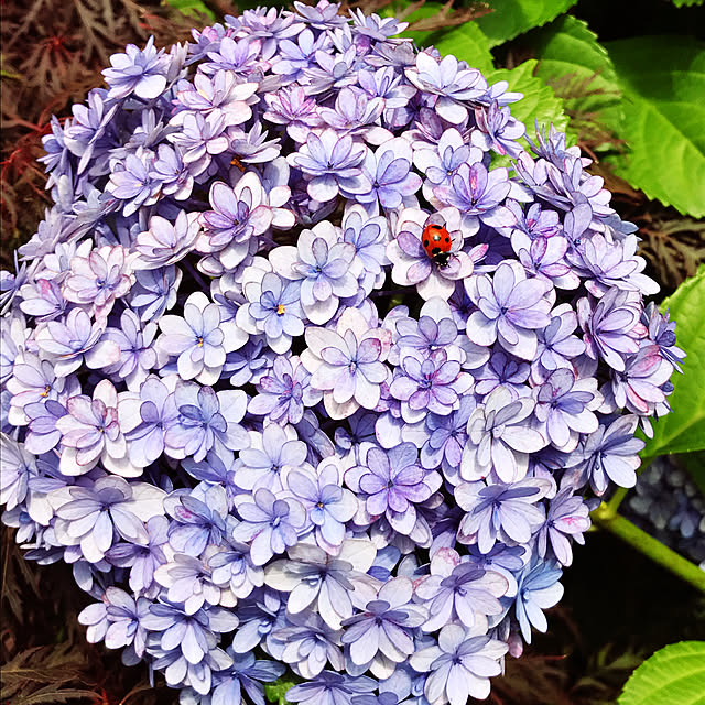 kaiさんの実例写真