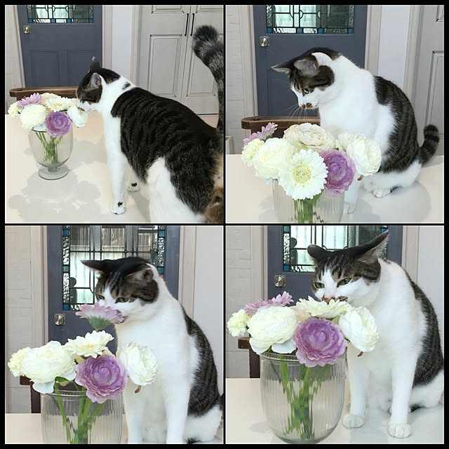 yuchiさんの実例写真