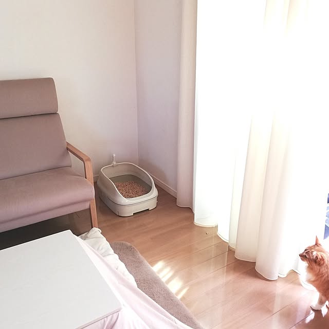 pinokoさんの実例写真