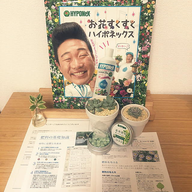 haruさんの実例写真