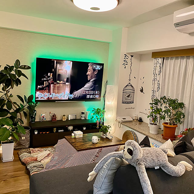 yangjunling999さんの実例写真