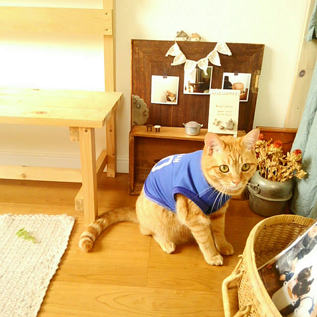 mayutan.さんの実例写真