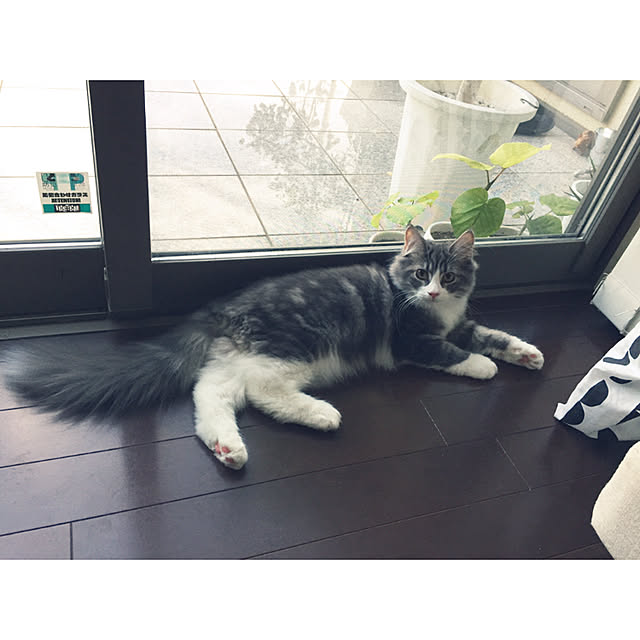 emさんの実例写真