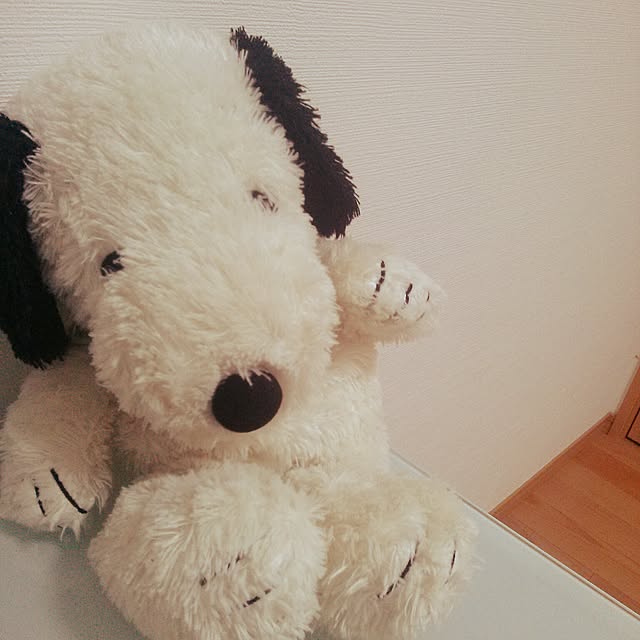 Miraiさんの実例写真