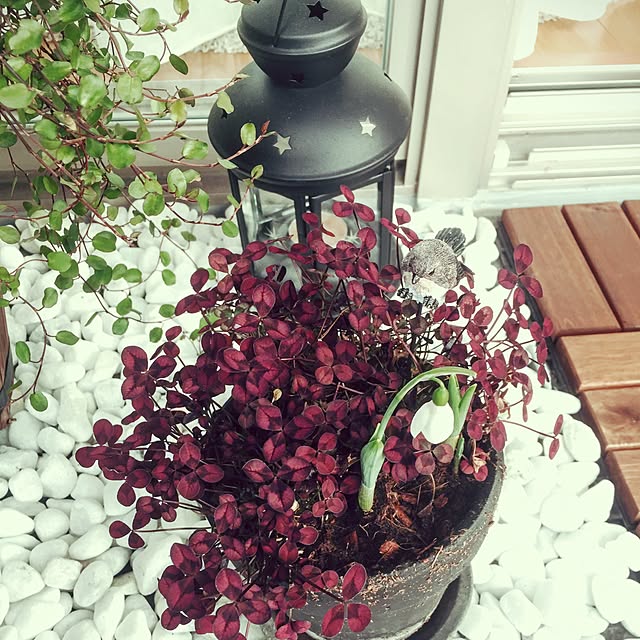 ffgreenさんの実例写真