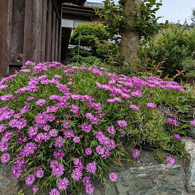 kuririnmamaさんの実例写真