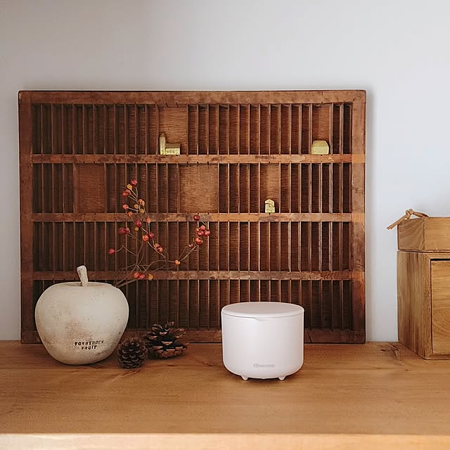 totonatuloveさんの実例写真