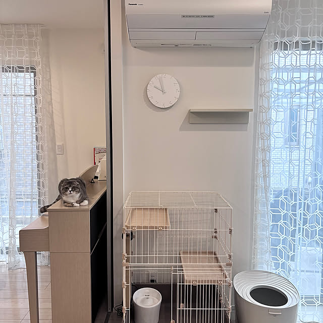 実例写真