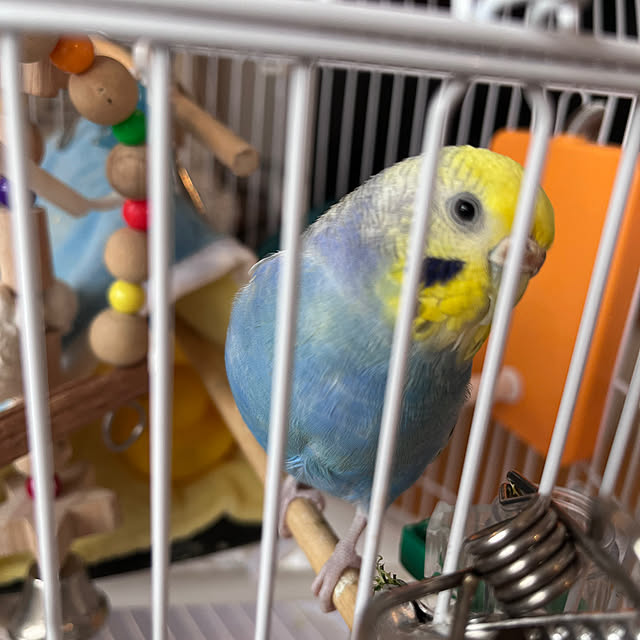 Atsukoさんの部屋