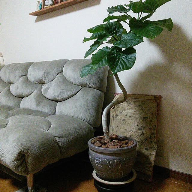 satokotokoさんの実例写真