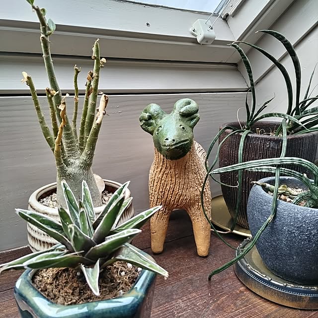 rieさんの部屋