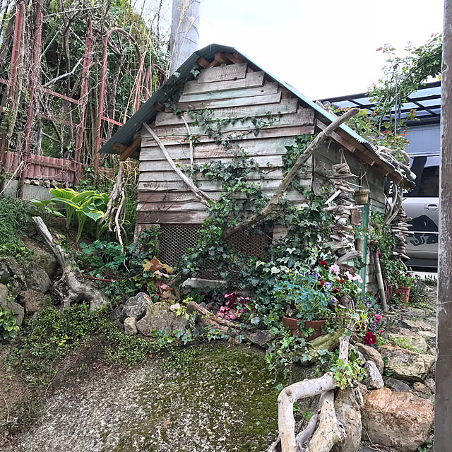 pepeさんの実例写真