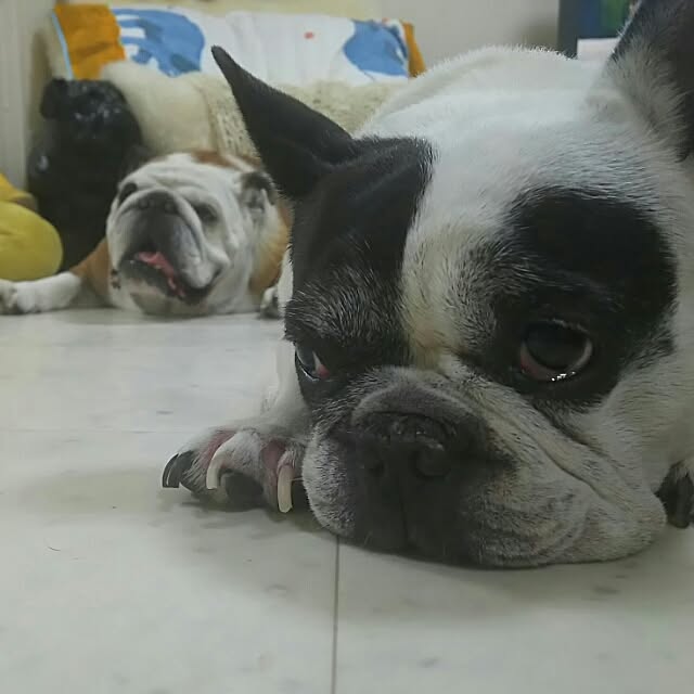 AandPさんの実例写真