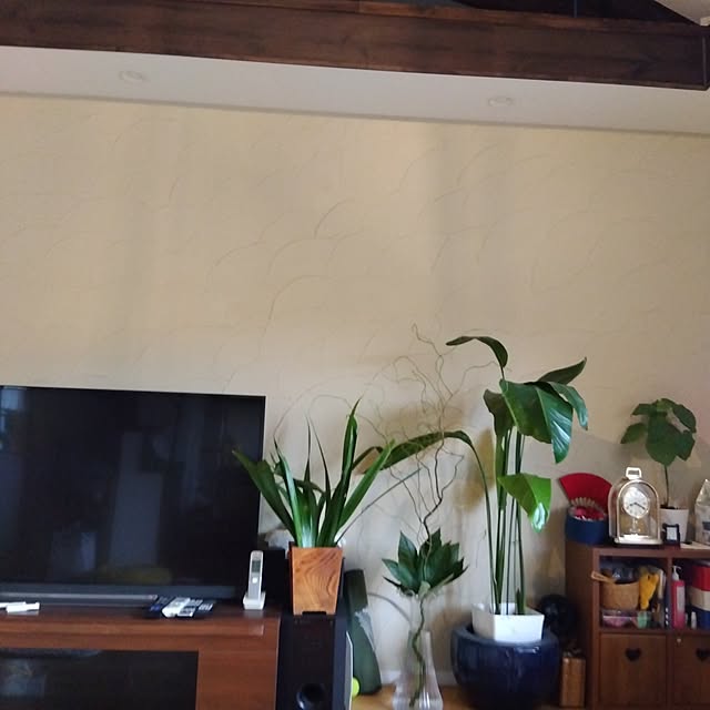 coco1204さんの部屋