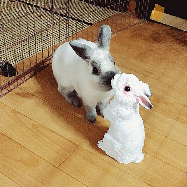 makiさんの実例写真