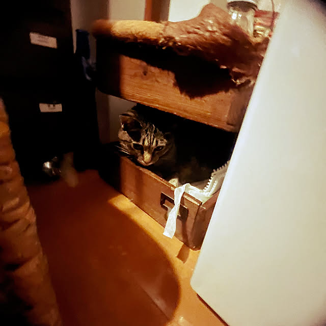 Mさんの部屋