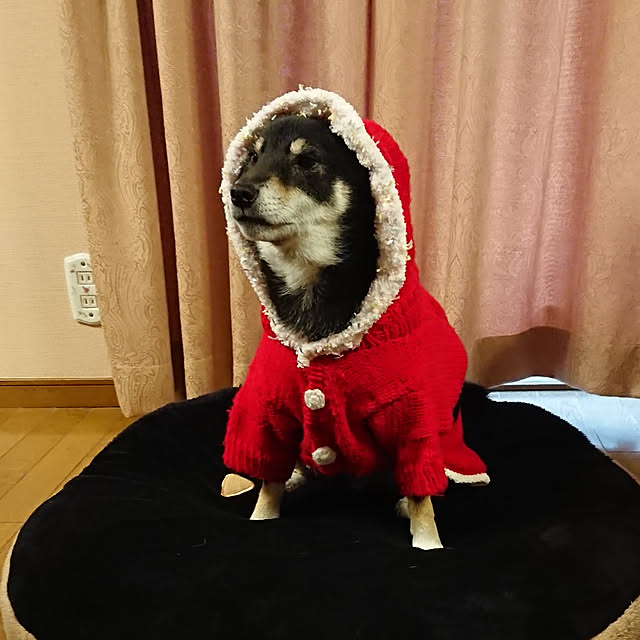tsutawarimasuさんの実例写真