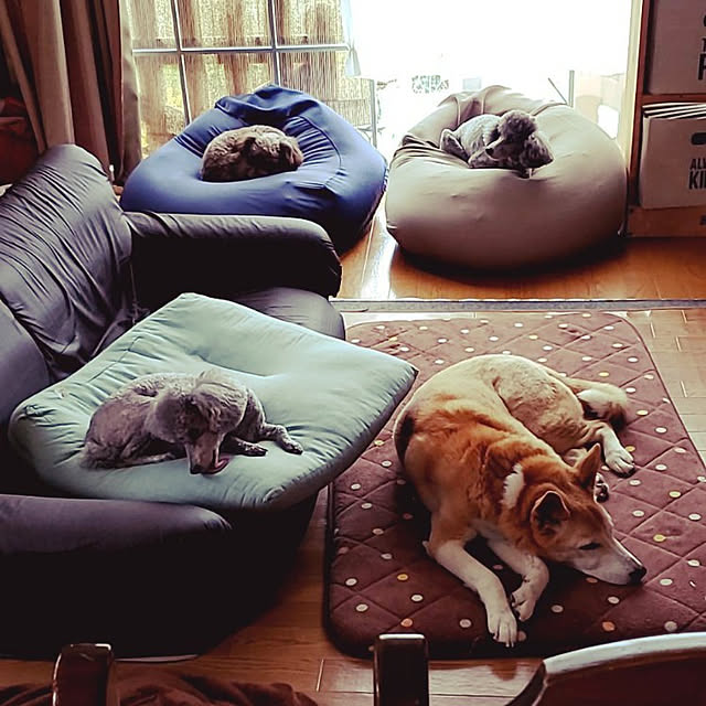 mamaさんの実例写真