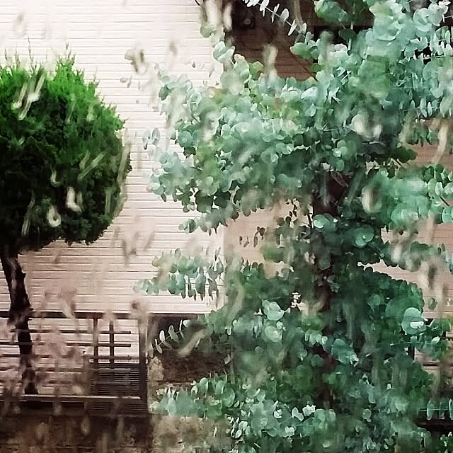 yukkoさんの実例写真