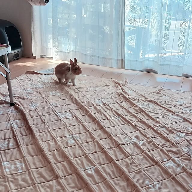 aiさんの部屋