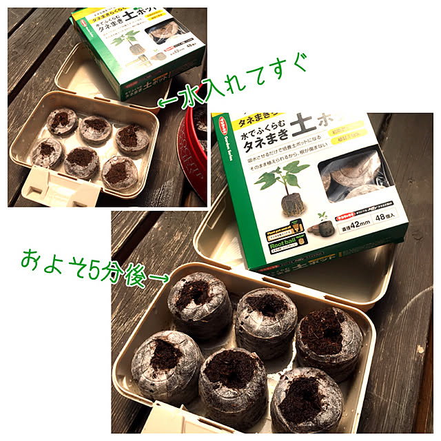 ray55さんの実例写真