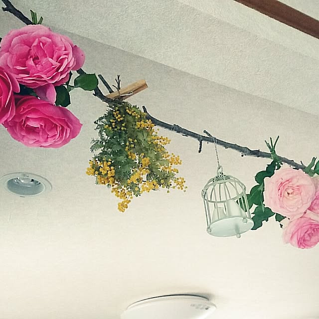 maryKayoさんの実例写真